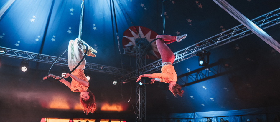Aerial Hoop Z