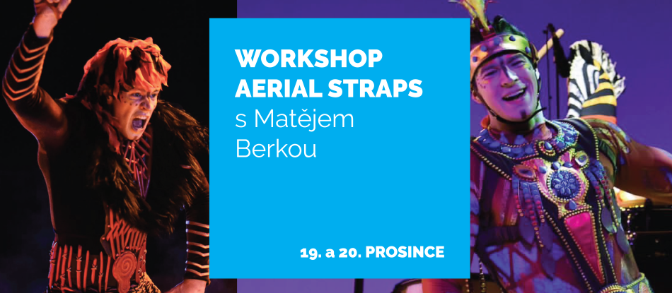 Workshop Aerial Straps s Matějem Berkou (15+)