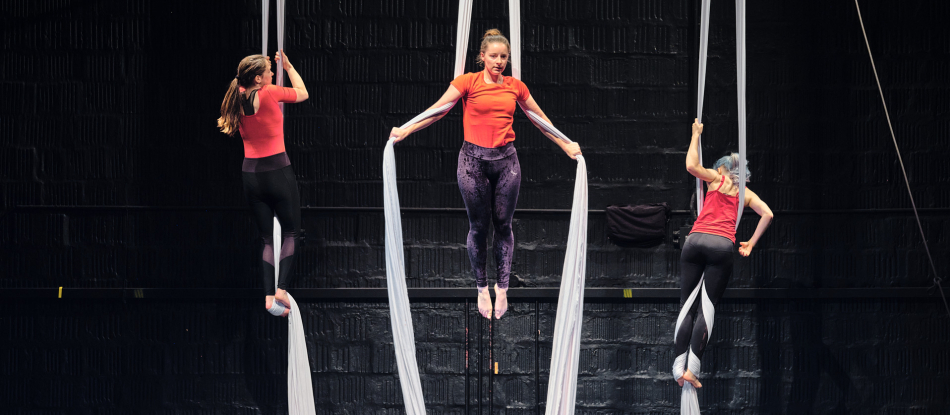 Aerial Silks MP